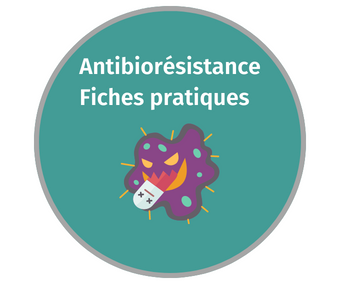 Antibiotiques et anticoagulants oraux